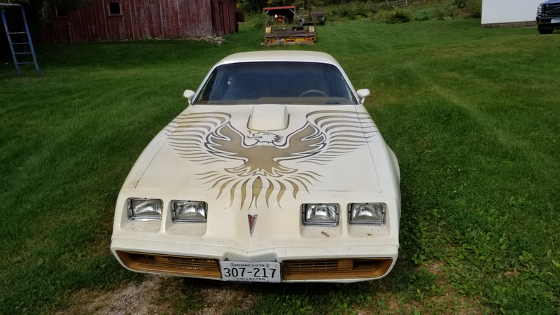 Not vinyl, that big ass screaming chicken is painted on there.